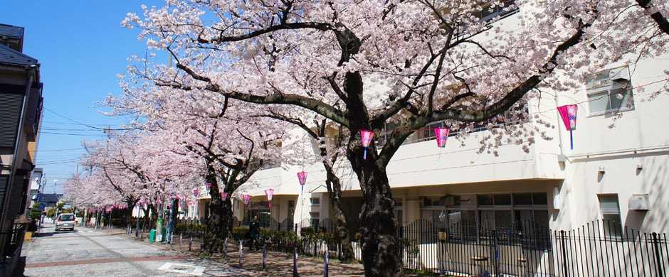 横浜日野墓苑 桜の里 横浜市 お墓のことは石長へ 創業四百年の石材店