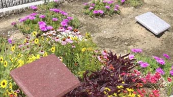 樹木葬 わすれなぐさ