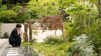 光円寺 樹木葬 芝愛宕の森